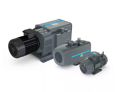 Vane Vacuum Pump | DVS 