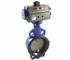 Water Truck Control Valve | Process Systems