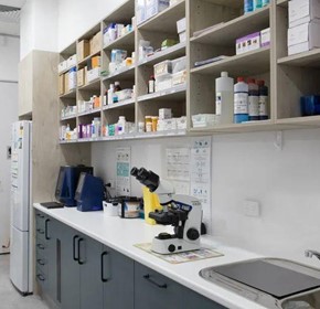 Veterinary Fitout Specialist Foxwell Vet Veterinary Fitout Specialist Foxwell Vet