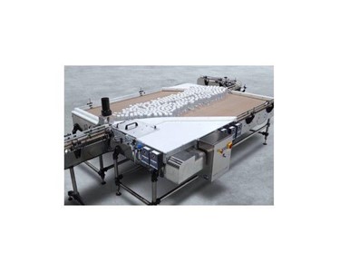 BellatRX - Conveyors and Accumulations Systems - Bi-directional Table