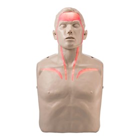 CPR Manikins LED Blood Circulation