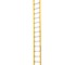Branach - PowerMaster Single Ladder | FND 4.2