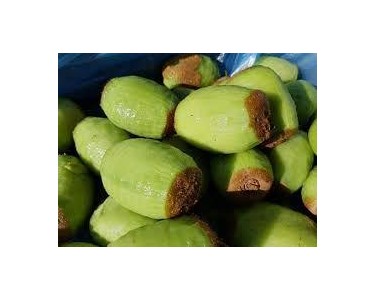 PND Fruit Processing Machinery - Mango And Kiwi Peeling Machine | PL4M PL6M PL8M