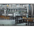 Non-Carbonated Beverage Glass Bottling and Filling Line - RCGF Series
