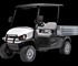 EcoTeq - ECOHAUL TURF 400X Electric Utility Vehicle