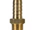 Male Hose Tail - Brass | Anest Iwata Australia
