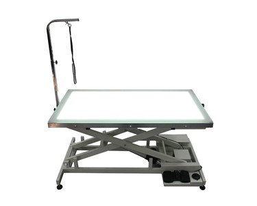 Shernbao - Electric Lift Table with LED Light