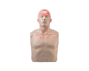 Brayden - CPR Manikin LED Blood Circulation