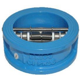 Water Check Valve