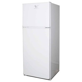 Solar Friendly Commercial Refrigerator WS288
