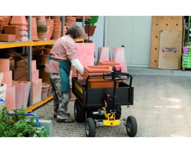 Alitrak - Flatbed Carrier Truck, up to 1000kg Cap | JT-300L