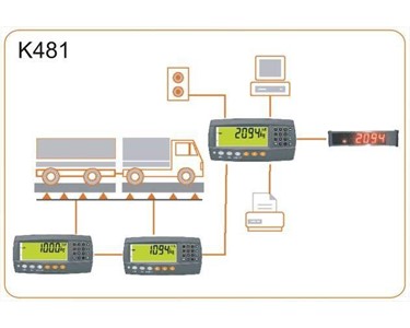 Rinstrum - R420 Firmware Indicator | K481 