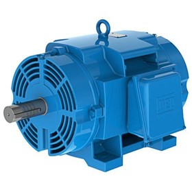 Metric ODP Electric Motor | K55/2 W21ODP