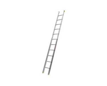 Straight Access Ladders – Bailey BMKS Professional Punchlock 10′