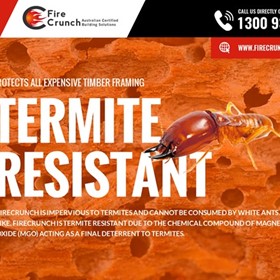 Termite Resistant Building Board