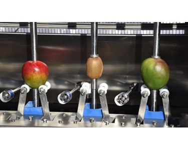 PND Fruit Processing Machinery - Mango And Kiwi Peeling Machine | PL4M PL6M PL8M