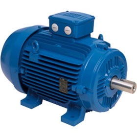 3-Phase Electric Motor | W21