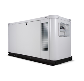 Gas Powered Generator