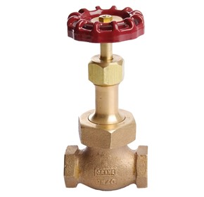 Globe Valve