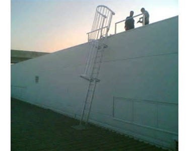 Access Ladders
