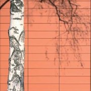 Façade Tiles | Clay | Faveton