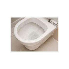 Toilet Seat Treatments | Sanitising Spray