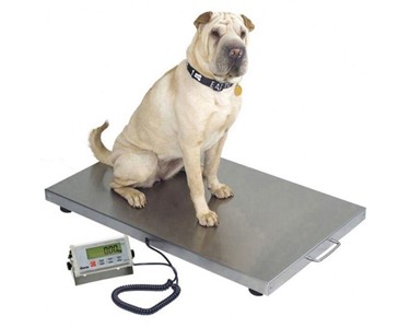 Aeolus - Veterinary Equipment | Animal Scale