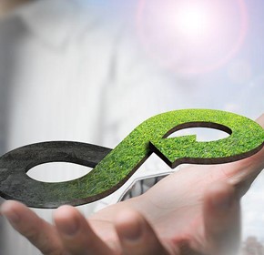 The Circular Economy and Environmental Stability – A Video Essay The Circular Economy and Environmental Stability – A Video Essay