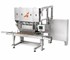 All-Fill - Model M Multiple Spindle Auger Filler
