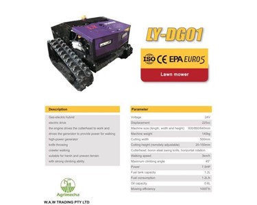 Lawn Mower 7.5HP | LY-DG01