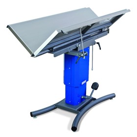 Veterinary Surgery and Treatment Table | ECO Lift - Flat Top or V Top