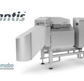 V-Belt Slicer | FAM Volantis V-Belt Slicer | FAM Volantis