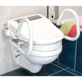 3 in 1 Toilet Support Rail - Standard