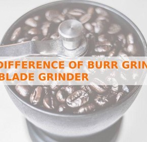 The Difference Between Burr Grinder and Blade Grinder The Difference Between Burr Grinder and Blade Grinder