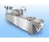 Hilutec - Thermoforming Packaging Machine |  FP - 100
