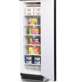 Solid Door 300L Upright Storage Freezer - UF0374SDS
