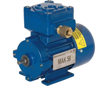 Explosion Proof Single and Three Phase Electric Motors