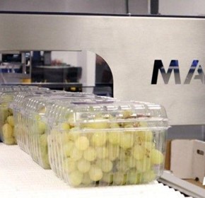 TrayMaster – Reducing Packing Labour Requirements TrayMaster – Reducing Packing Labour Requirements