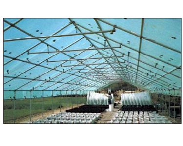 Monarflex - Agricultural Greenhouse Sheeting | Ultra 250 mono