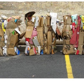 Going Green with Packaging Makes Good Business Sense Going Green with Packaging Makes Good Business Sense