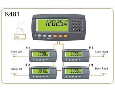 Rinstrum - R420 Firmware Indicator | K481 