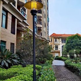Street Light | DHB-1069 | Kasesware Lighting