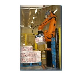 Robotic Palletizing System | Packaging and Filling Systems