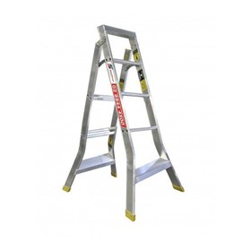 Warthog Dual Purpose Extension Ladder