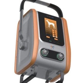Fixed-Portable Double Usage Veterinary Digital Radiography - S60