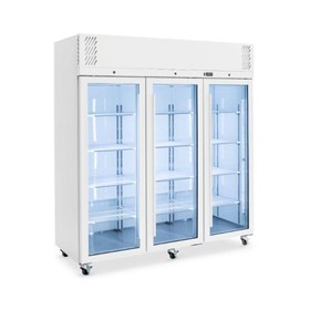Commercial Freezer | Pearl P3