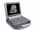 Sonosite - Veterinary Ultrasound Machine | M-Turbo C