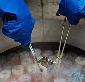 Keeping cryopreservation cool Keeping cryopreservation cool