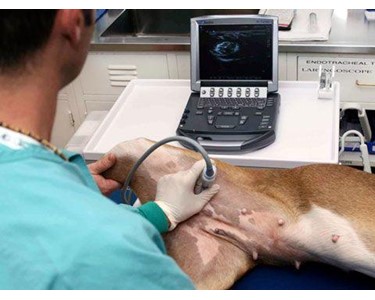 Sonosite - Veterinary Ultrasound Machine | M-Turbo