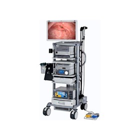 Veterinary Video Endoscopy | CCD
